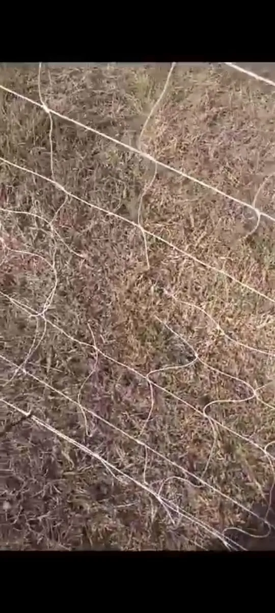 400e2eb5-e472-4513-975c-f4d9ec7dc6e2