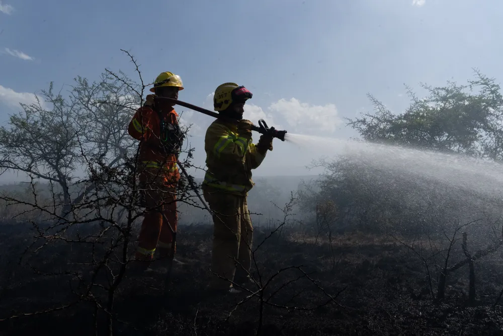 Incendio en Villa General Belgrano - Foto: Gentileza Sebastián Gil Miranda