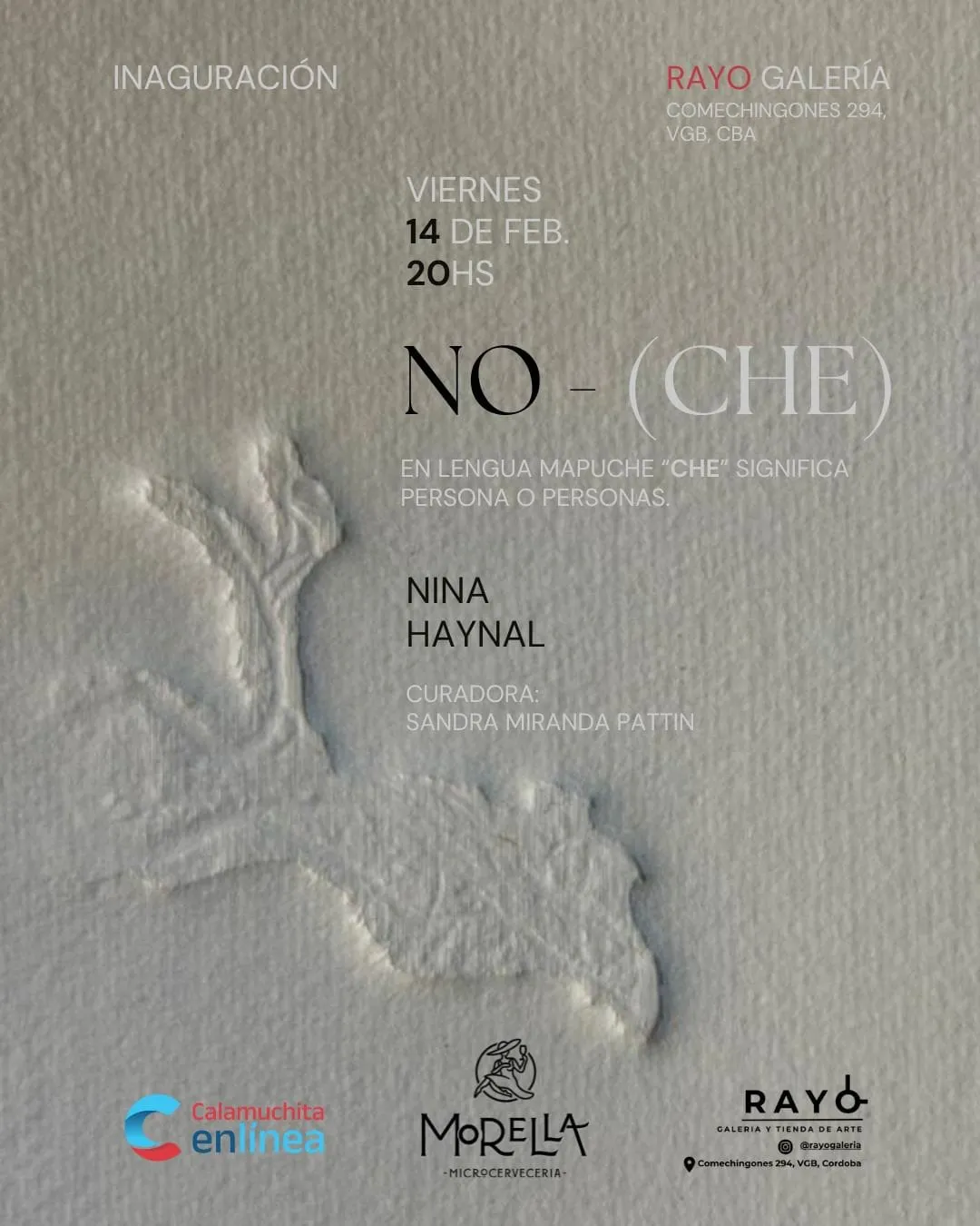 viernes 28 de febrero (10)