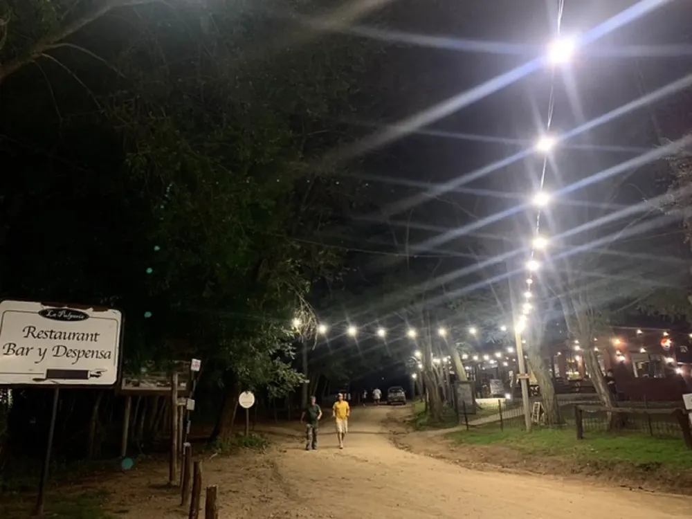 el durazno bajo las estrellas