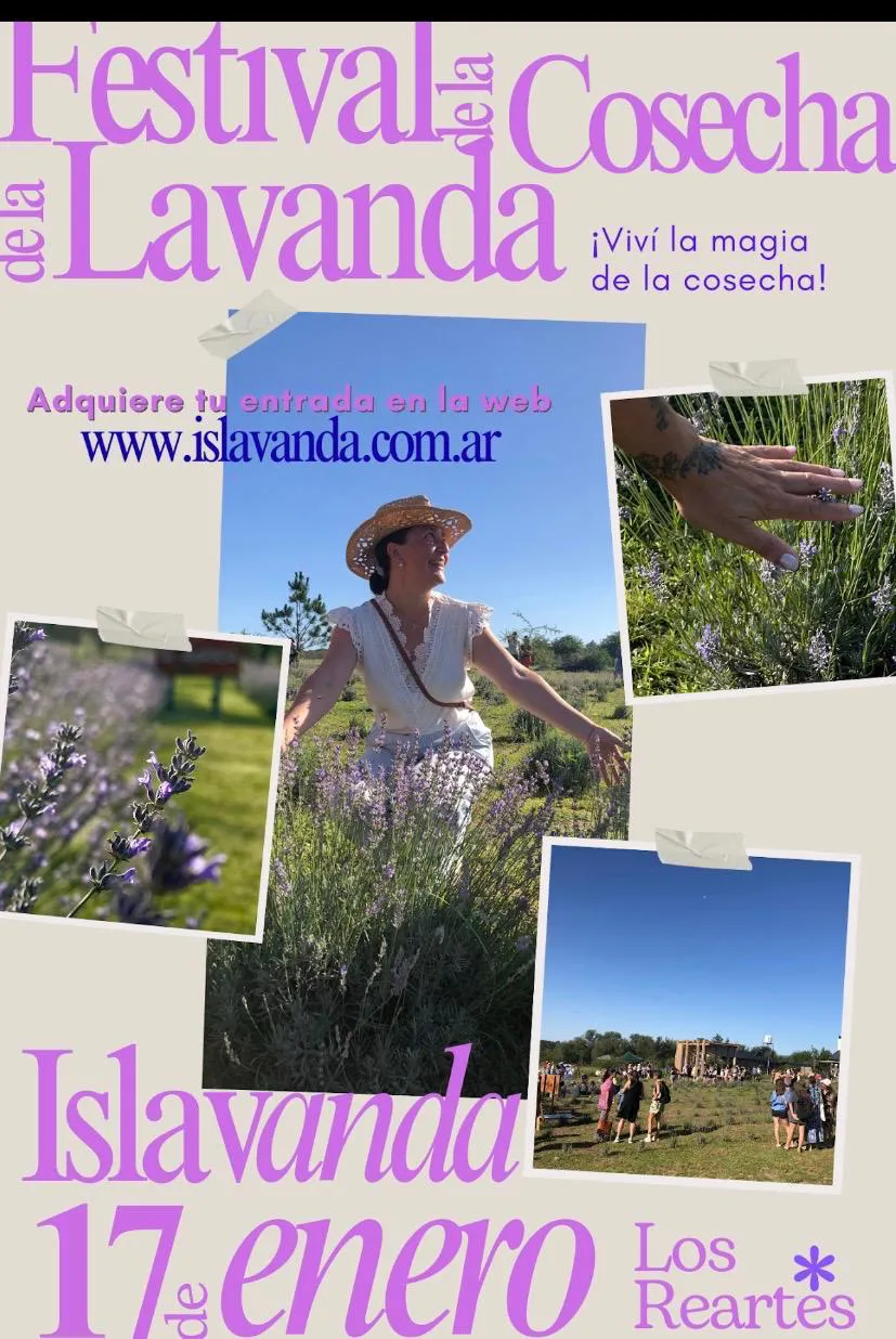 17 enero fiesta de la lavanda Los reartes