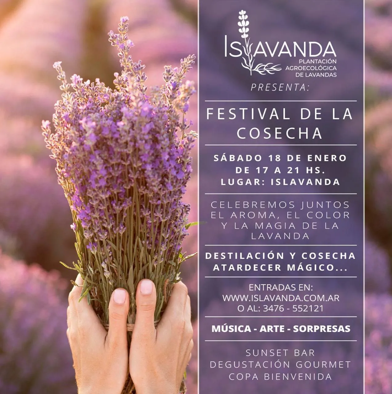 WhatsApp Image 2025-01-09 at 1.30.34 PM