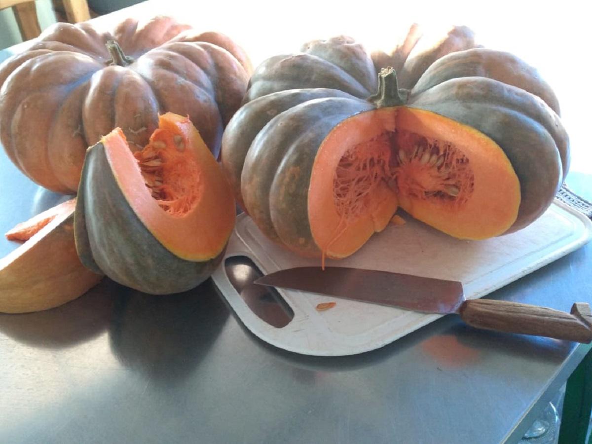 Ramona Delicias del Valle Villa General Belgrano