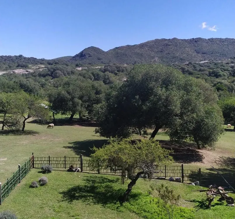 WhatsApp Image 2024-10-02 at 7.01.11 PM