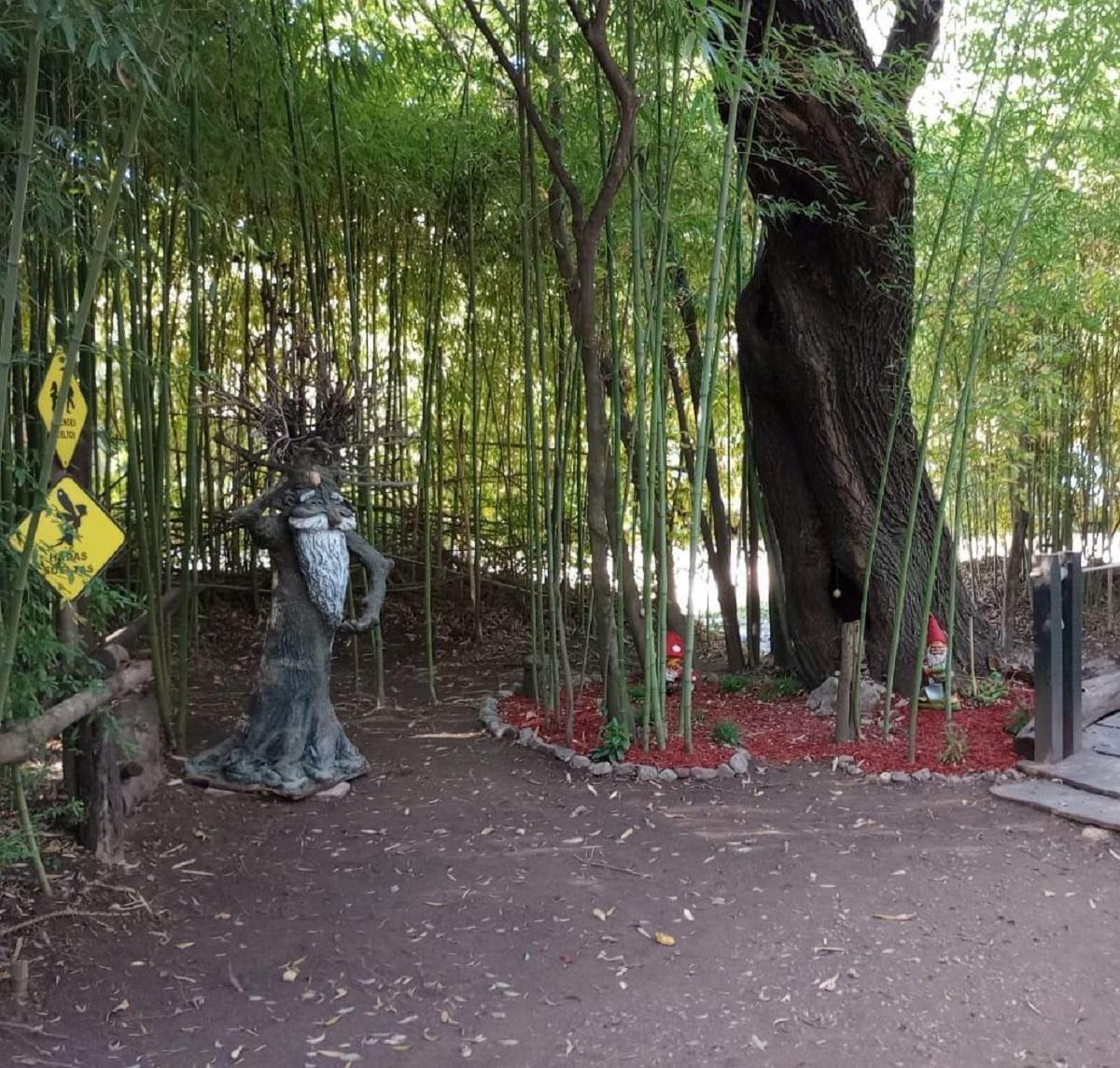 Bosque de Don Otto Villa General Belgrano