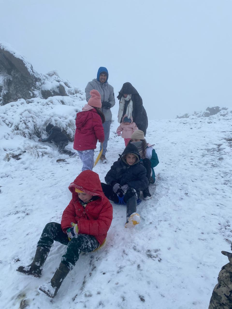 e2dc858e-cef6-4f80-a1bb-587c96a9c9b4