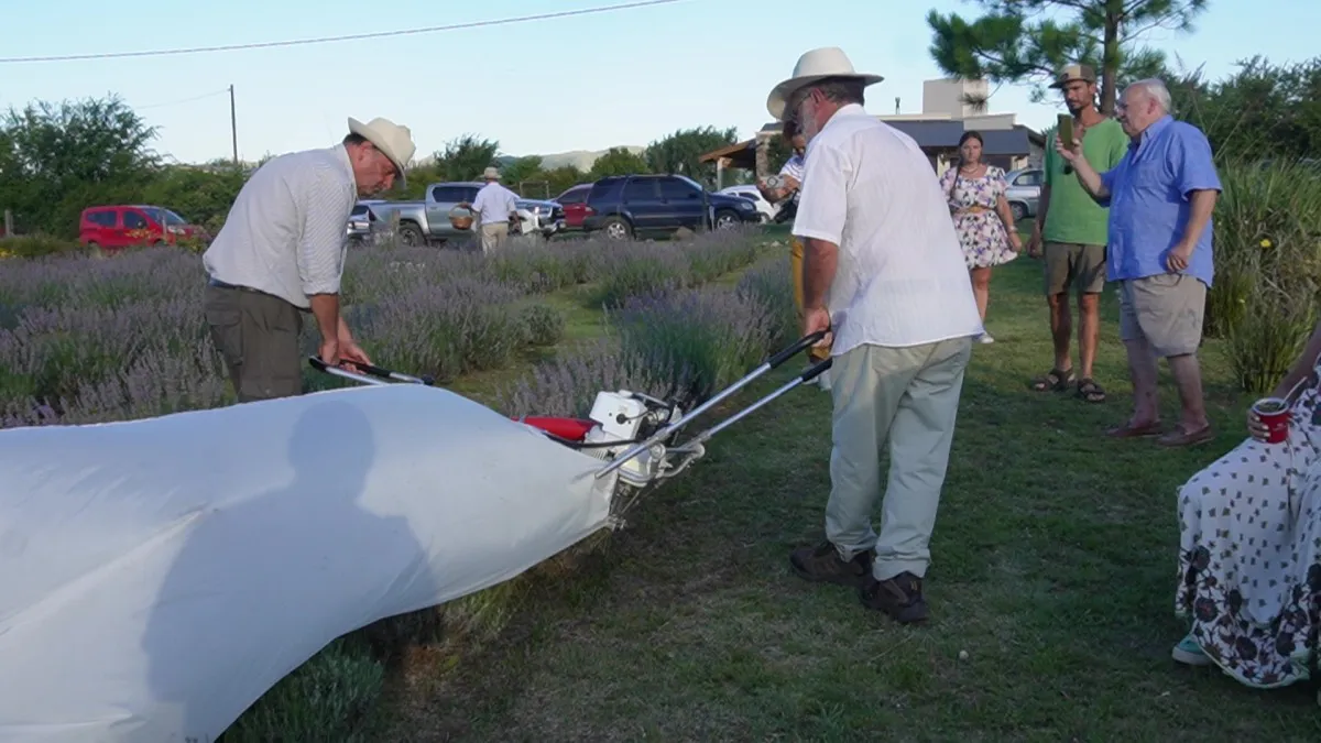 COSECHA CAPTURA 02.jpg