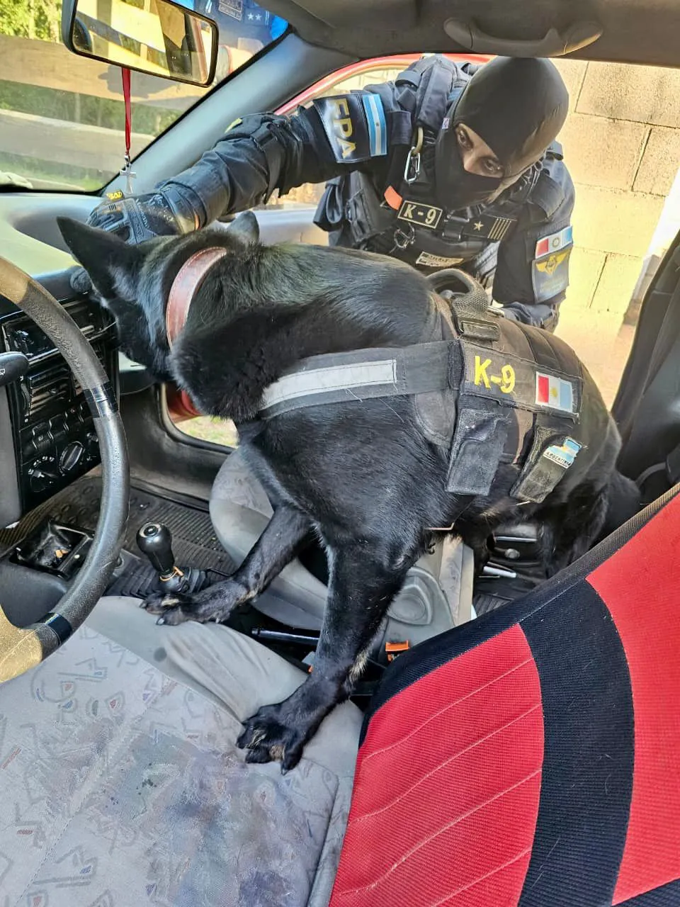 cae0857b-0990-4901-bd1e-3763e8cfa5f8