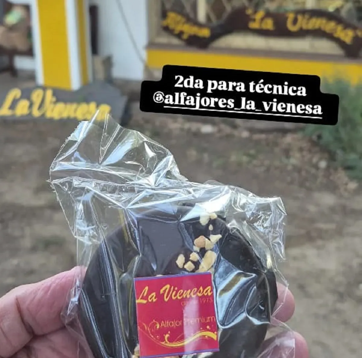 probando alfajores (1)