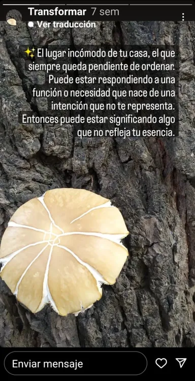 terapiadecasas - transformar