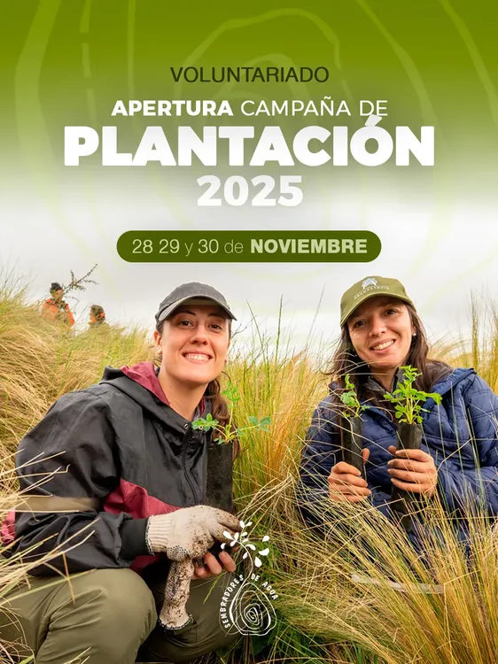 cc1c5f9a-7a0f-43d1-8d26-8b545fb519f1