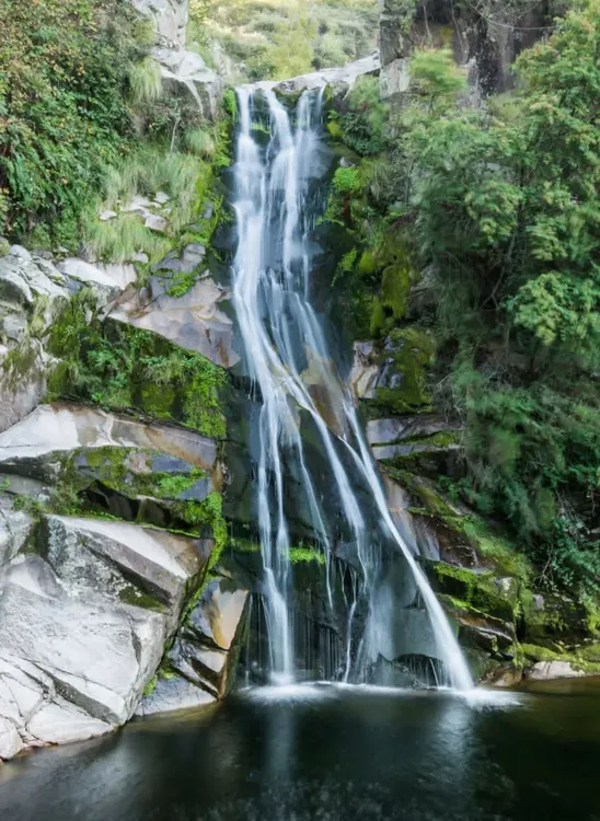 e05a31ad-a5e3-4d47-9299-27b5ba4faf29