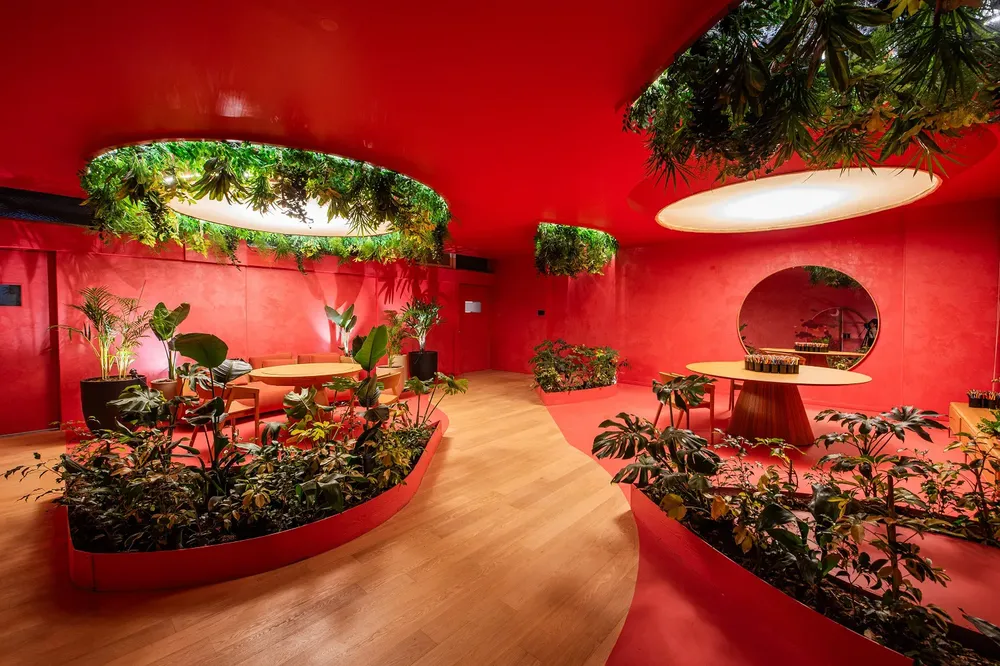 Estudio Zarzamora en Casa FOA 2025 (8)