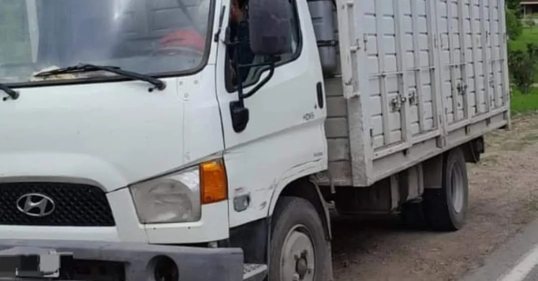 FB_IMG_1729810454907