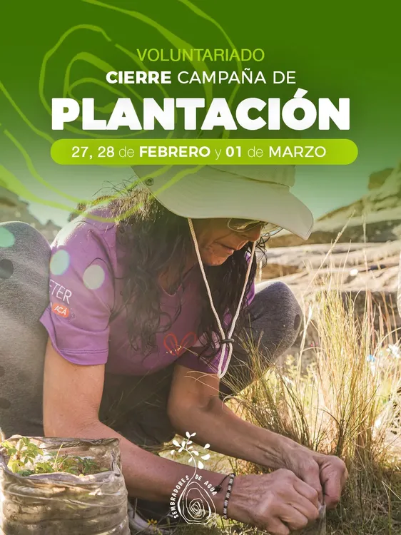 812bac23-b84b-4ffd-a618-31969e2e62dc