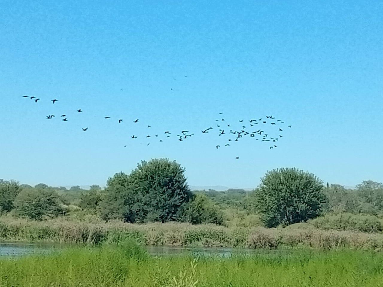 Aguada de los Pájaros